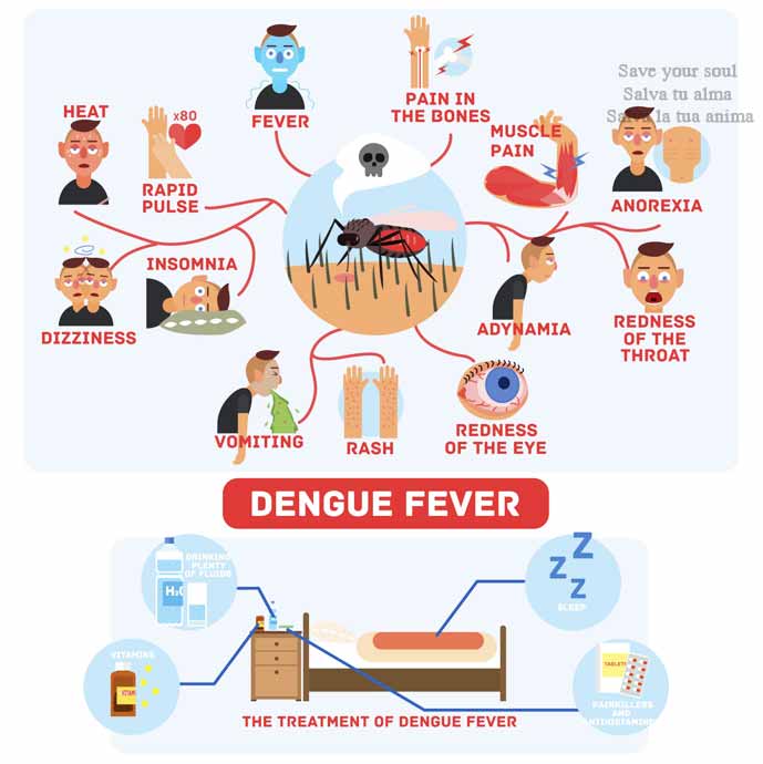 Dengue Fever
