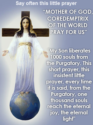 Mother of God, Coredemptrix of the world, pray for us