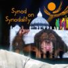 synod